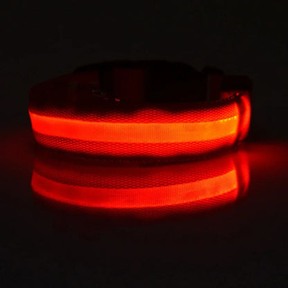 LED Glow Dog Collar