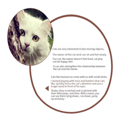 11pcs Cat Feather Set