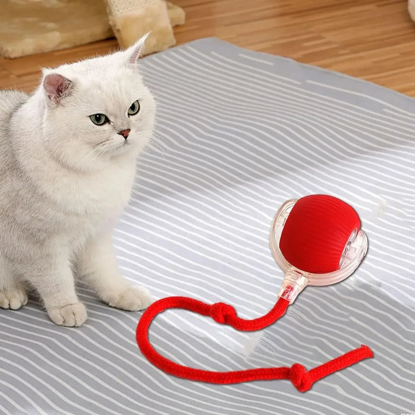 Smart Rolling Cat Toy Ball