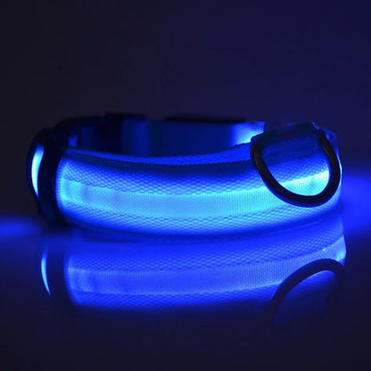 LED Glow Dog Collar