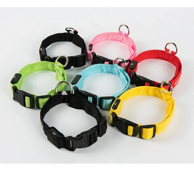 LED Glow Dog Collar