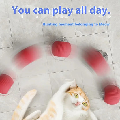 Smart Rolling Cat Toy Ball