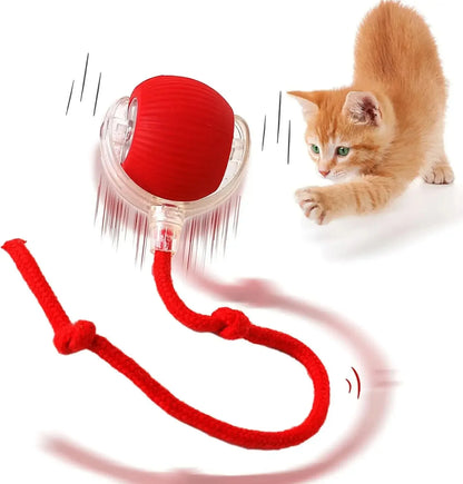 Smart Rolling Cat Toy Ball