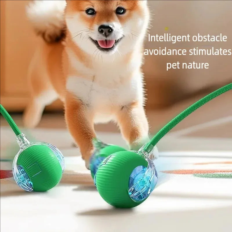 Smart Rolling Cat Toy Ball