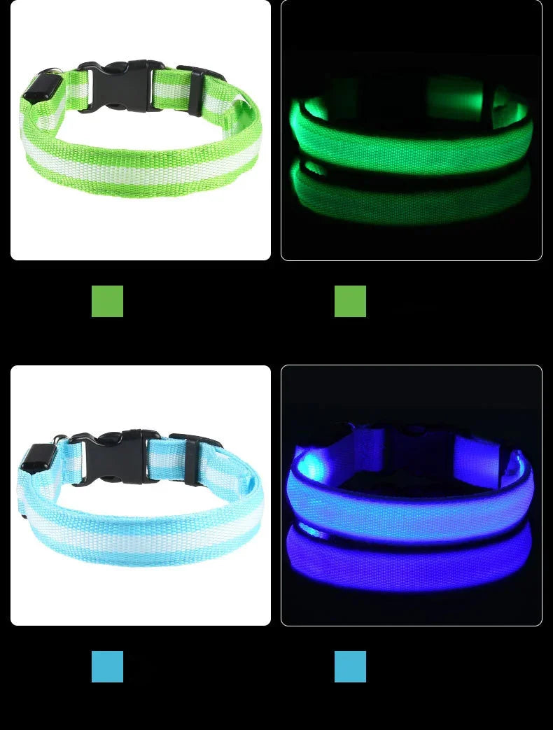 LED Glow Dog Collar