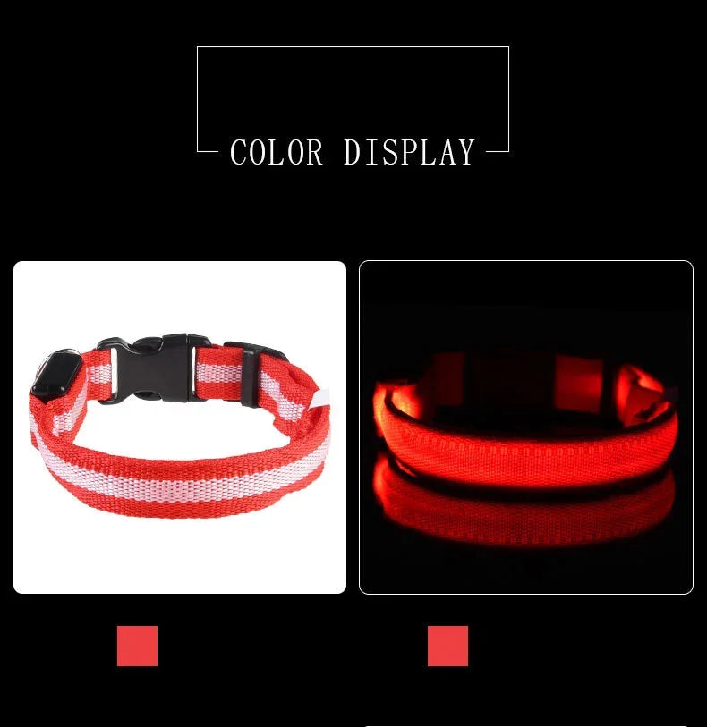 LED Glow Dog Collar