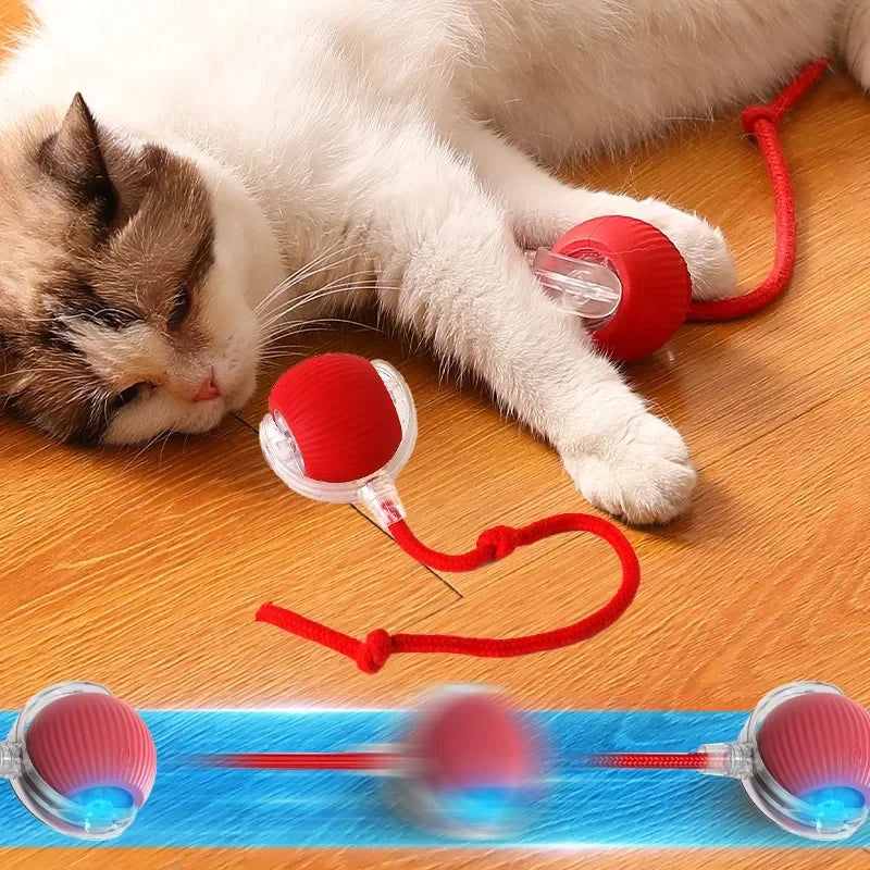 Smart Rolling Cat Toy Ball