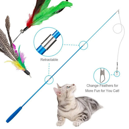 11pcs Cat Feather Set