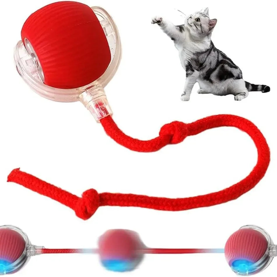 Smart Rolling Cat Toy Ball
