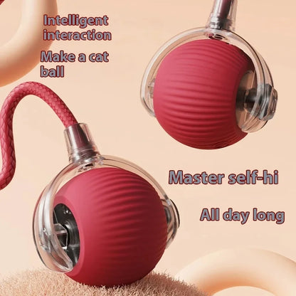 Smart Rolling Cat Toy Ball