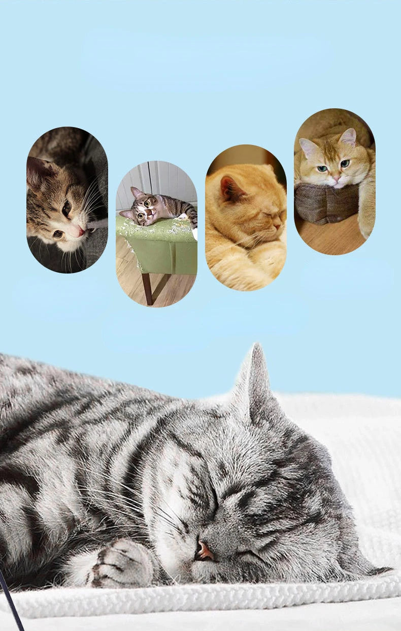 Feather Play Stick for Cats