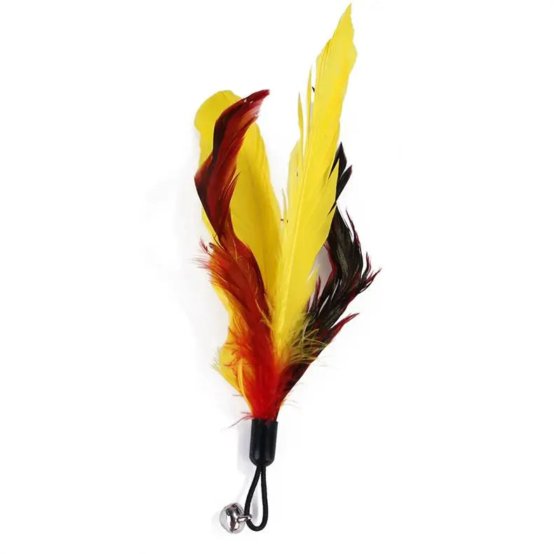 11pcs Cat Feather Set