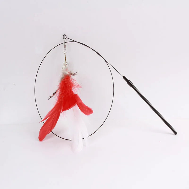 Colorful Feather Cat Teaser