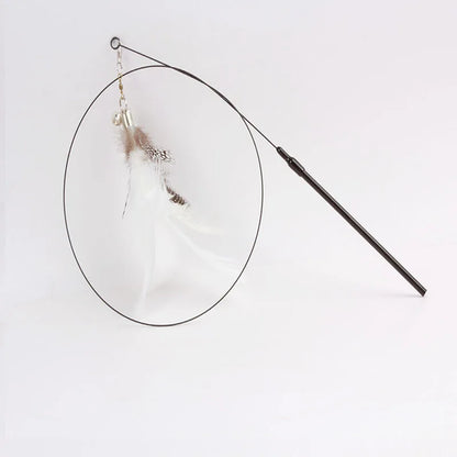 Colorful Feather Cat Teaser