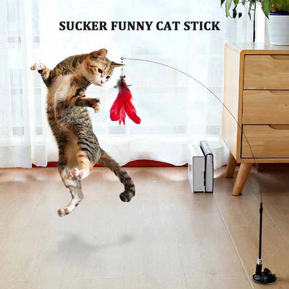 Colorful Feather Cat Teaser